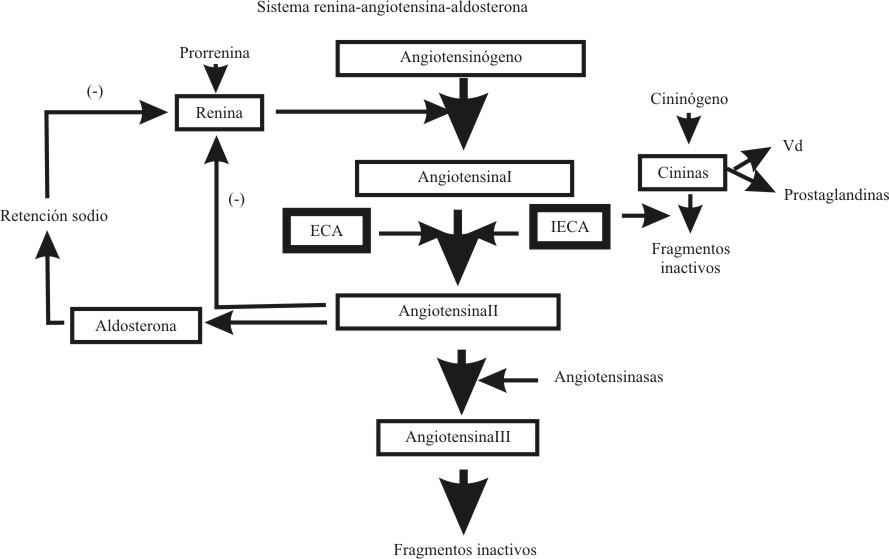 Inhibidores de la enzima conversora de